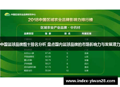 中国篮球品牌前十排名分析 盘点国内篮球品牌的市场影响力与发展潜力