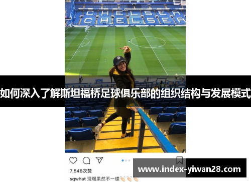 如何深入了解斯坦福桥足球俱乐部的组织结构与发展模式